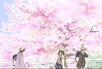 大象传媒视频入口